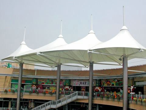 泰安寧陽商城向日葵视频色板 